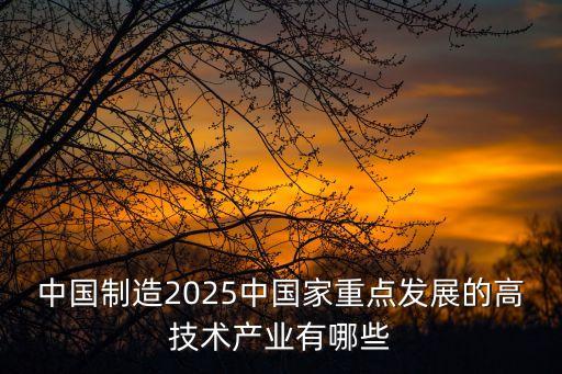 中國制造2025中國家重點發(fā)展的高技術(shù)產(chǎn)業(yè)有哪些