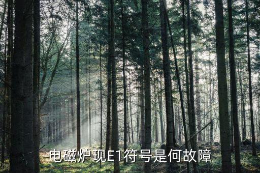 電磁爐現(xiàn)E1符號(hào)是何故障