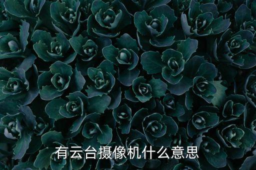有云臺(tái)攝像機(jī)什么意思