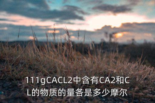 111gCACL2中含有CA2和CL的物質(zhì)的量各是多少摩爾