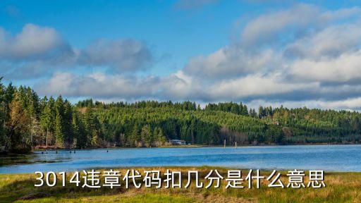 3014違章代碼扣幾分是什么意思