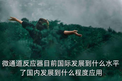微通道反應(yīng)器目前國際發(fā)展到什么水平了國內(nèi)發(fā)展到什么程度應(yīng)用