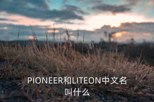 PIONEER和LITEON中文名叫什么