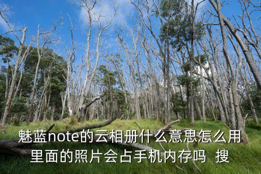 魅藍(lán)note的云相冊(cè)什么意思怎么用里面的照片會(huì)占手機(jī)內(nèi)存嗎  搜