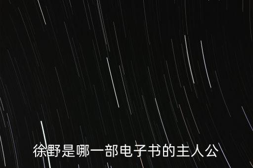 徐野，徐野是哪一部電子書(shū)的主人公