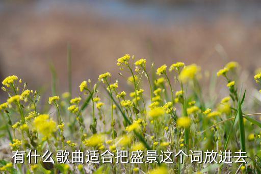 盛景，有什么歌曲適合把盛景這個詞放進去