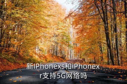 蘋果x支持5g嗎，蘋果x支持5G頻道wifi嗎