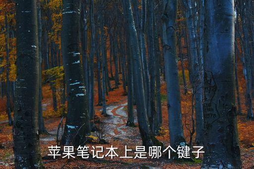 蘋果電腦鍵盤，適用于 Mac 的機械鍵盤有哪些推薦