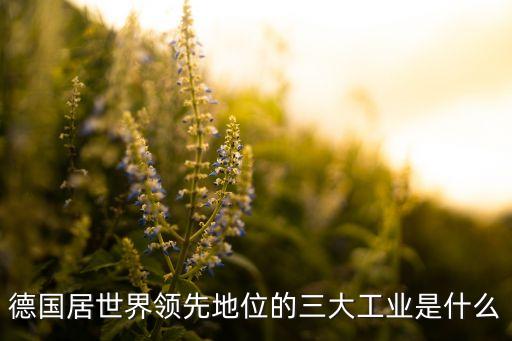 德國居世界領(lǐng)先地位的三大工業(yè)是什么