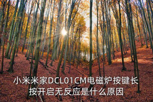 小米米家DCL01CM電磁爐按鍵長(zhǎng)按開(kāi)啟無(wú)反應(yīng)是什么原因