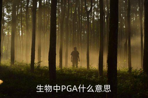 生物中PGA什么意思