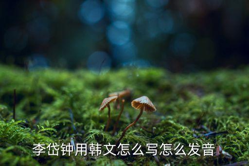 李岱鐘用韓文怎么寫(xiě)怎么發(fā)音