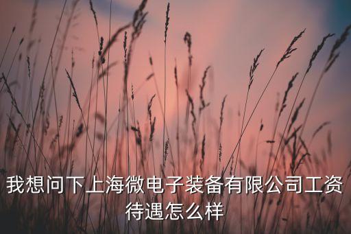 我想問(wèn)下上海微電子裝備有限公司工資待遇怎么樣