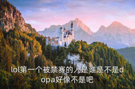 lol第一個(gè)被禁賽的人是誰(shuí)是不是dopa好像不是吧