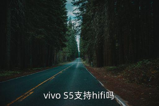 vivo S5支持hifi嗎