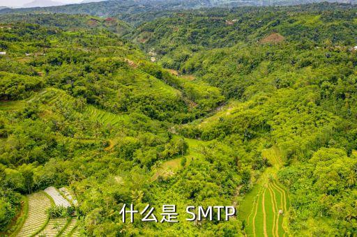 什么是 SMTP