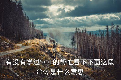 有沒有學(xué)過SQL的幫忙看下下面這段命令是什么意思