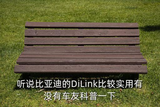 聽(tīng)說(shuō)比亞迪的DiLink比較實(shí)用有沒(méi)有車友科普一下
