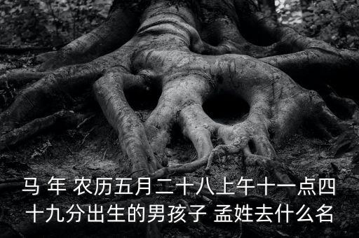 馬 年 農(nóng)歷五月二十八上午十一點(diǎn)四十九分出生的男孩子 孟姓去什么名