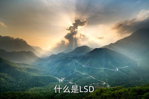 什么是LSD