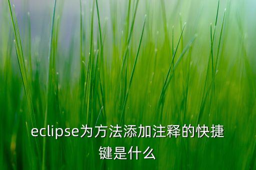 eclipse為方法添加注釋的快捷鍵是什么
