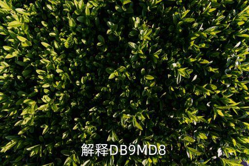 解釋DB9MD8