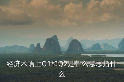 q2季度，經(jīng)濟術語上Q1和Q2是什么意思指什么