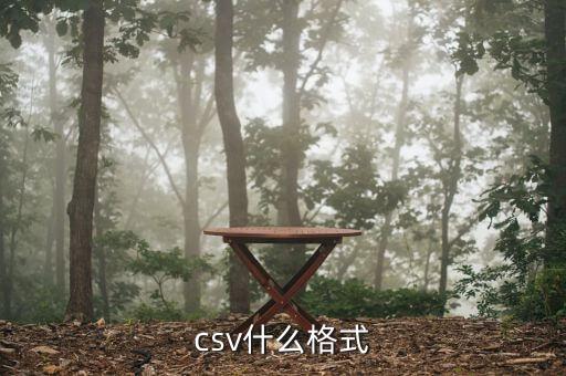 csv什么格式