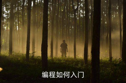 編程如何入門