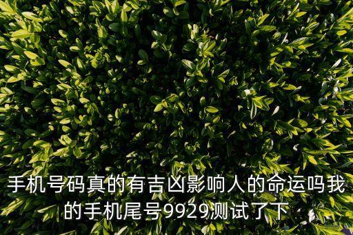 9929，關(guān)于QQ號碼的這些數(shù)字是什么意思跪求真正意思