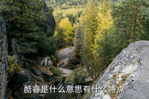 酷睿，酷睿是什么意思有什么特點(diǎn)