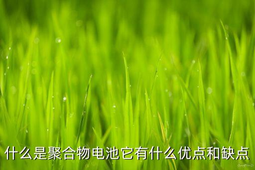 什么是聚合物電池它有什么優(yōu)點和缺點