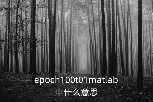 epoch100t01matlab中什么意思