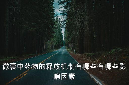 微囊中藥物的釋放機(jī)制有哪些有哪些影響因素