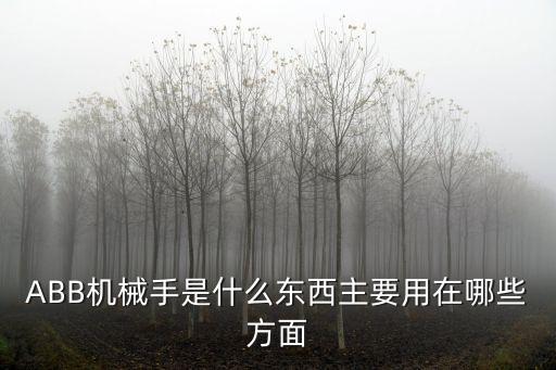ABB機械手是什么東西主要用在哪些方面