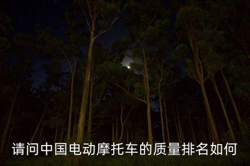 請問中國電動摩托車的質(zhì)量排名如何