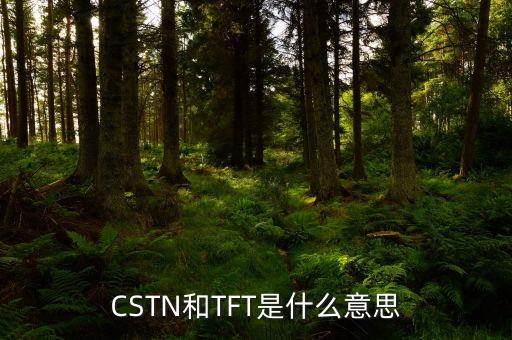 CSTN和TFT是什么意思