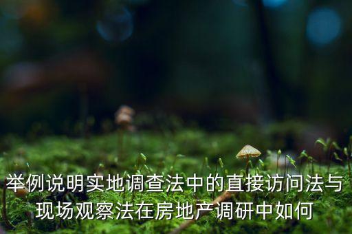 舉例說明實地調查法中的直接訪問法與現場觀察法在房地產調研中如何