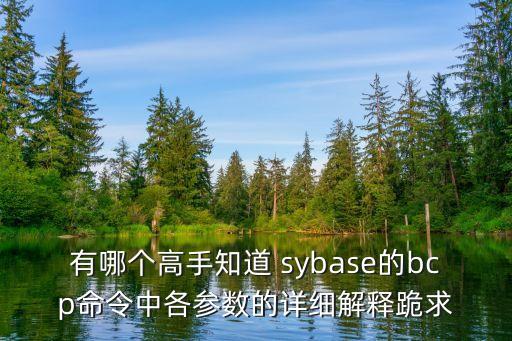 有哪個(gè)高手知道 sybase的bcp命令中各參數(shù)的詳細(xì)解釋跪求