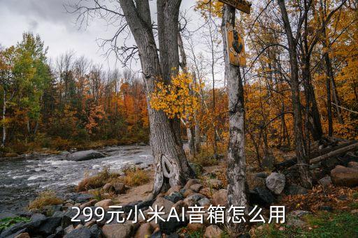 299元小米AI音箱怎么用