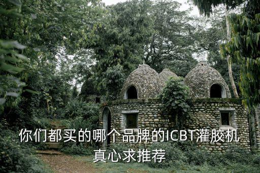 你們都買的哪個(gè)品牌的ICBT灌膠機(jī)真心求推薦