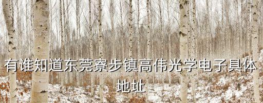 有誰知道東莞寮步鎮(zhèn)高偉光學(xué)電子具體地址