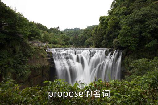propose的名詞