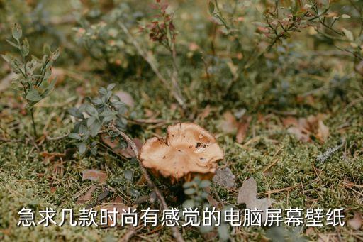 急求幾款時(shí)尚有感覺(jué)的電腦屏幕壁紙