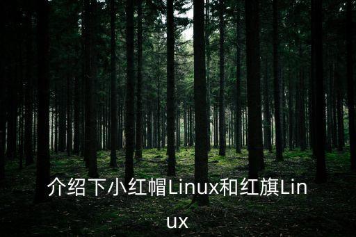 介紹下小紅帽Linux和紅旗Linux