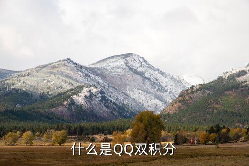 什么是QQ雙積分