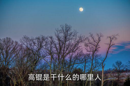 高錕是干什么的哪里人