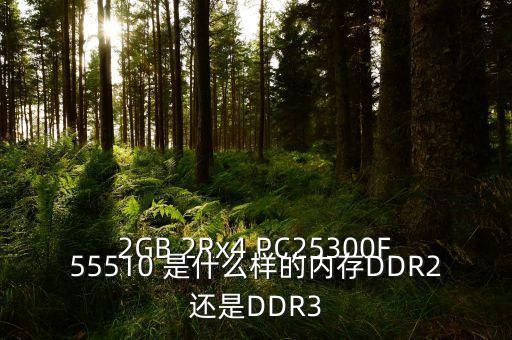 2GB 2Rx4 PC25300F55510 是什么樣的內(nèi)存DDR2還是DDR3