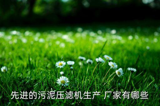 先進的污泥壓濾機生產(chǎn) 廠家有哪些