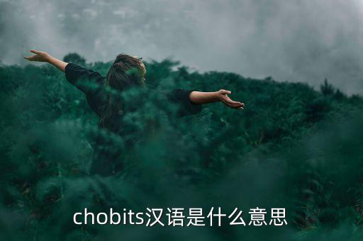 類人機(jī)器人，有哪些機(jī)器人名字叫什么